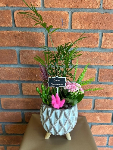 Öğretmenler Günü Teraryum Aranjman 2