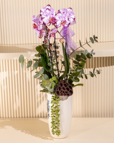 Cascade Orkide Aranjman